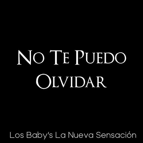 No Te Puedo Olvidar