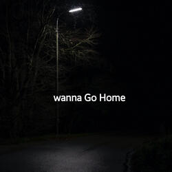 Wanna Go Home