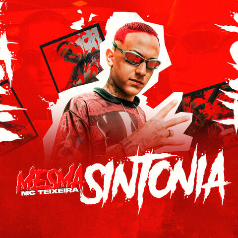 Mesma Sintonia