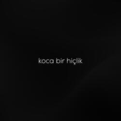 Koca Bir Hiçlik