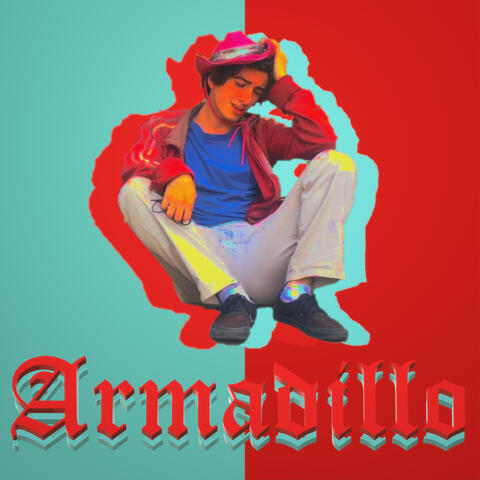 Armadillo