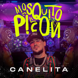 Mosquito Picón
