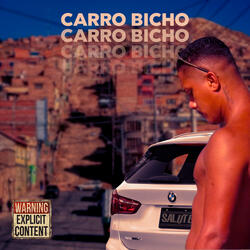 Carro Bicho