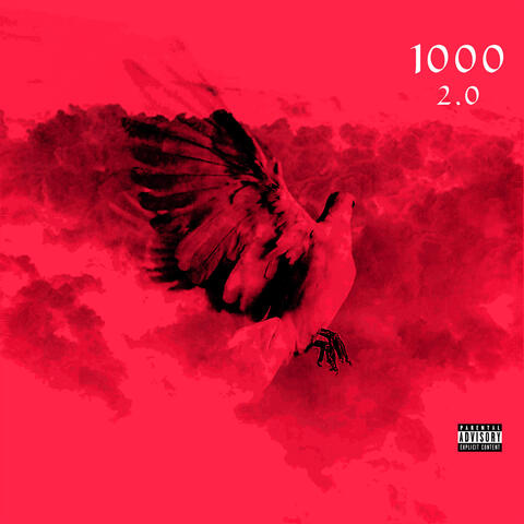 1000 (2.0)