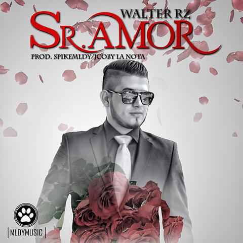 Sr. Amor