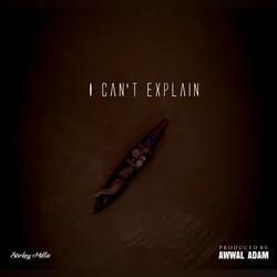 I Can't Explain