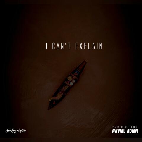 I Can't Explain