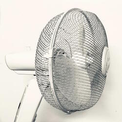 Groovy Fan
