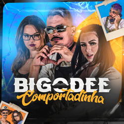 Comportadinha