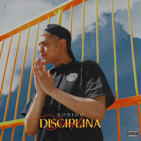 DISCIPLINA