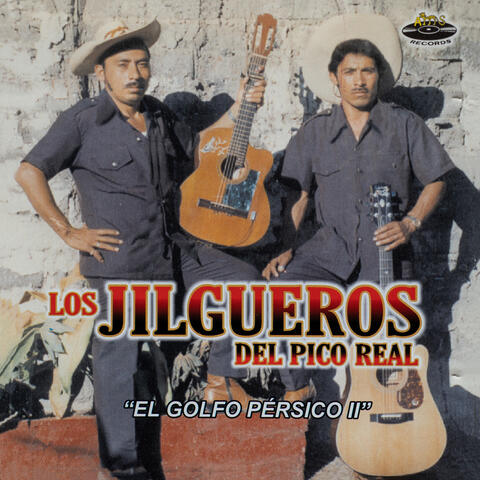 El Golfo Pérsico II