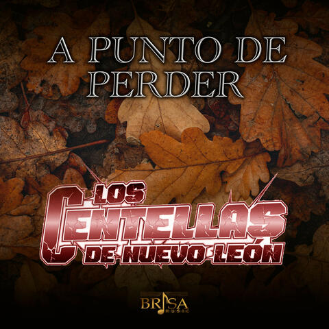 A Punto de Perder