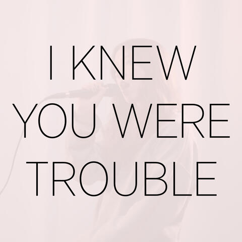 I Knew You Were Trouble (Version Español)