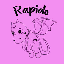 Rapido