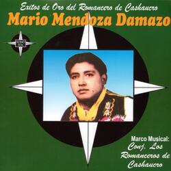 Lirio Moradito