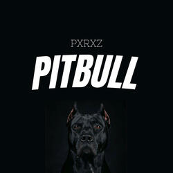 Pitbull