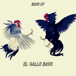 El Gallo Bayo