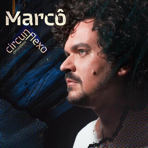 Circunflexo
