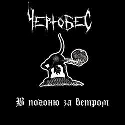 В погоню за ветром