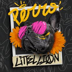 Perro