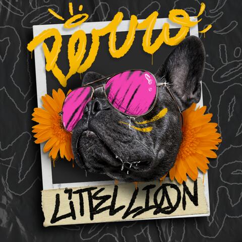 Perro