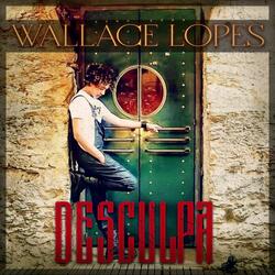 Desculpa
