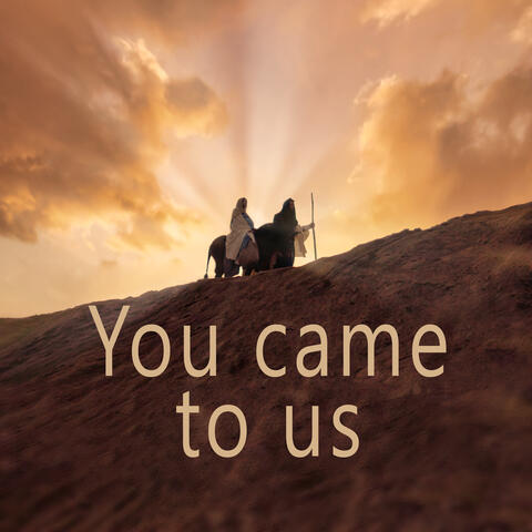 You Came to Us