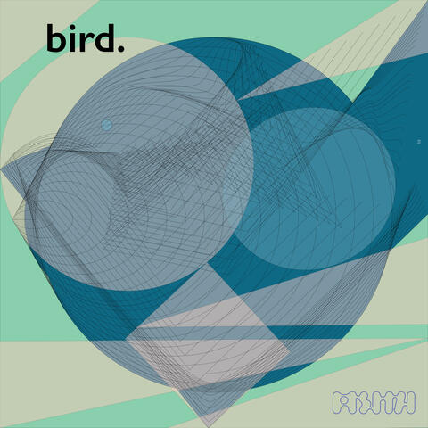 Bird.