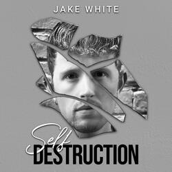 Self Destruction
