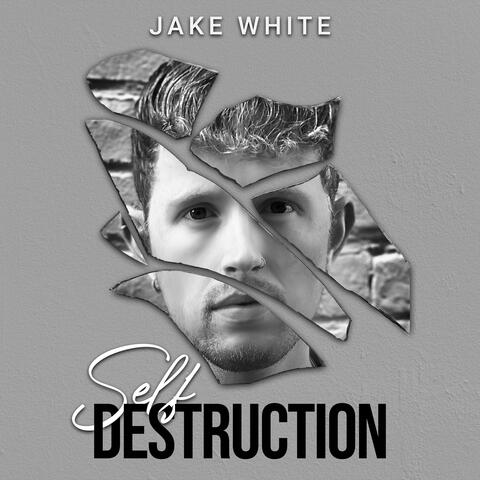 Self Destruction