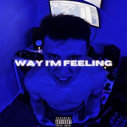 Way I'm Feeling