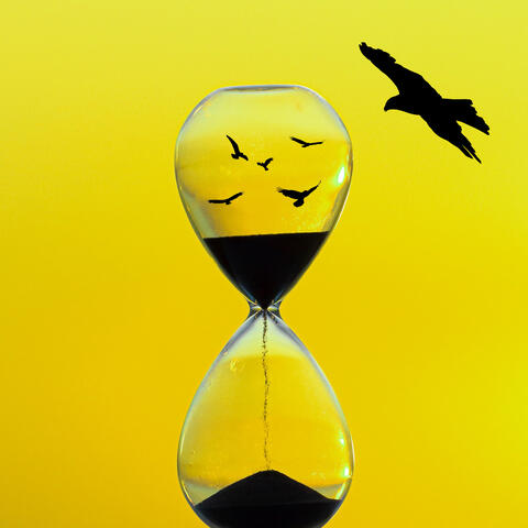 Por Quanto Tempo