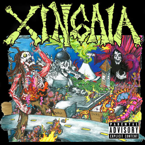 Xingaia