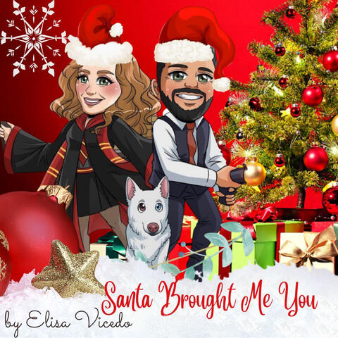 Santa Brought Me You