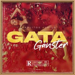 Gata Gangster