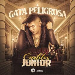 Gata Peligrosa