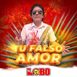 Tu Falso Amor