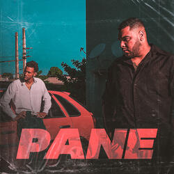 Pane