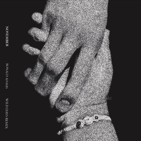 November (Wild Days Remix)