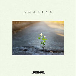 Amazing
