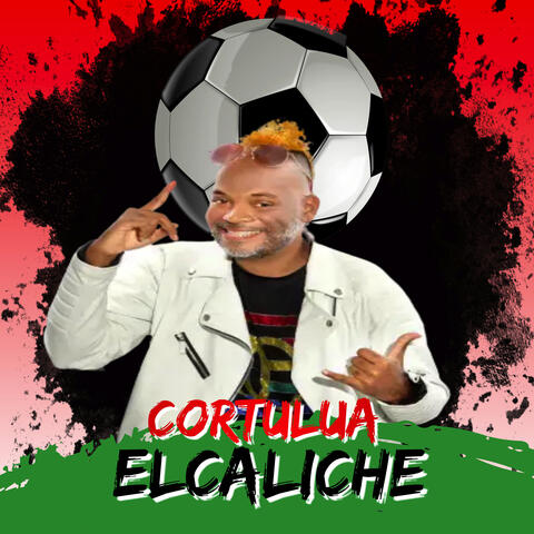 Cortulua