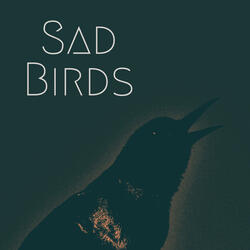 Sad Birds