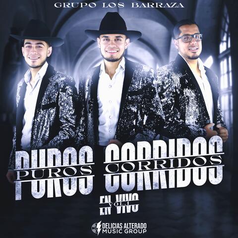 Puros Corridos, Vol. 1
