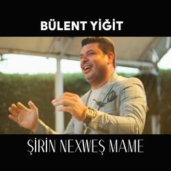 Şirin Nexweş Mame