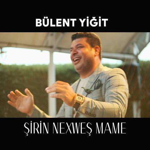 Şirin Nexweş Mame