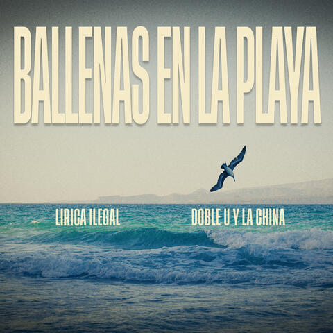 Ballenas en la Playa