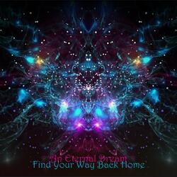 Find Your Way Back Home