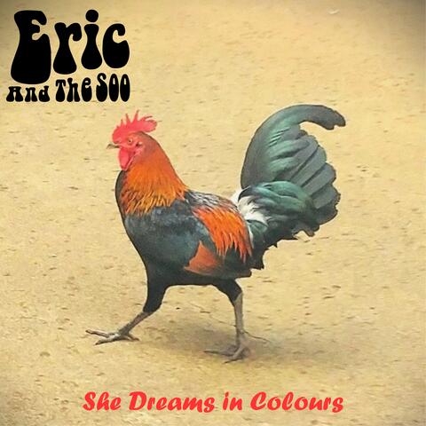 She Dreams in Colours