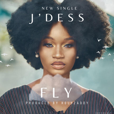 Fly