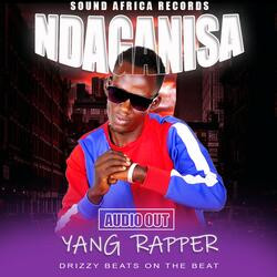 Ndaganisa